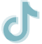tiktok icon